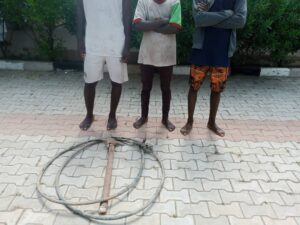 Suspects Paraded Suspects Paraded